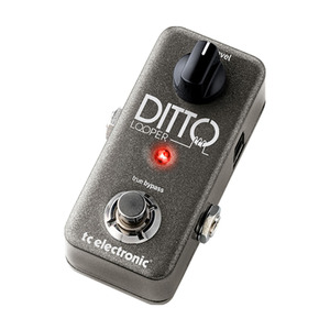 [TC Electronic] Ditto Looper 티씨 일렉트로닉 기타 이펙터